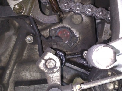 01 Posizione.jpg (182.46 KiB) Visto 71001 volte 01 Posizione.jpg