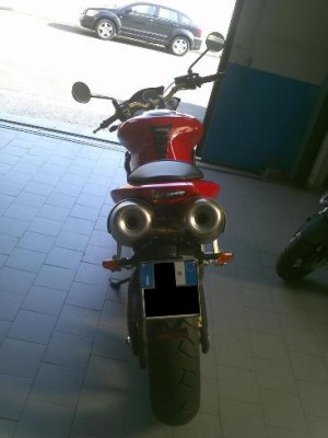 IMG107_small.jpg