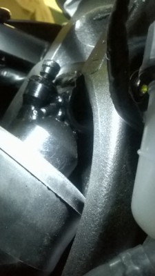 WP_20140625_002 (360x640).jpg
