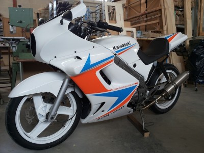 ZZR Marti 01.jpg