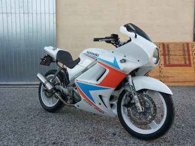 ZZR Marti 02.jpg