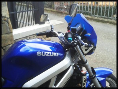 sv 1.jpg