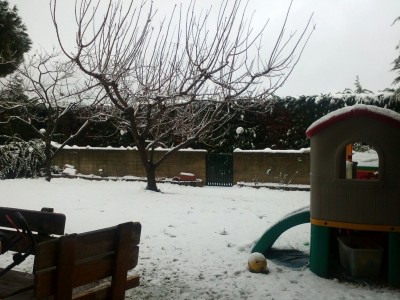 uploadfromtaptalk1328970289013.jpg (272.42 KiB) Visto 4571 volte uploadfromtaptalk1328970289013.jpg