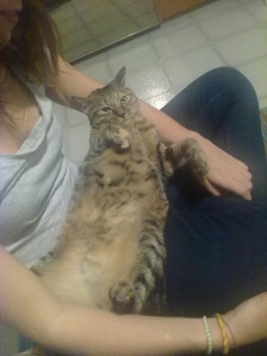 04112010082_576x768.jpg (73.09 KiB) Visto 3072 volte 04112010082_576x768.jpg