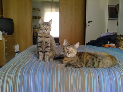 14042011107_1024x768.jpg (197.05 KiB) Visto 3057 volte 14042011107_1024x768.jpg