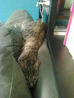 27092010071_576x768.jpg (92.8 KiB) Visto 3287 volte 27092010071_576x768.jpg
