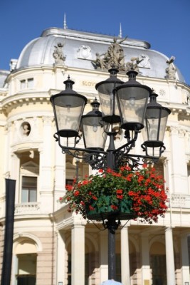 IMG_2544_400x600.jpg (85.63 KiB) Visto 1702 volte IMG_2544_400x600.jpg